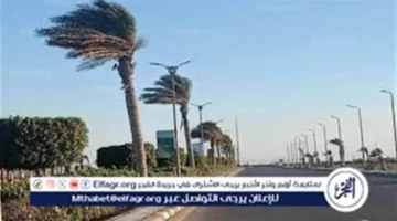 توقعات الأربعاء 18 فبراير برودة وأمطار واضطراب ملاحي